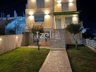 Exoterike apopse choroy