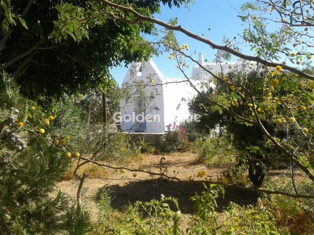 Εξωτερικός Χώρος