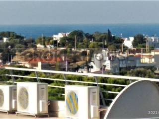 ΘΕΑ ΑΠΟ ΤΑΡΑΤΣΑ