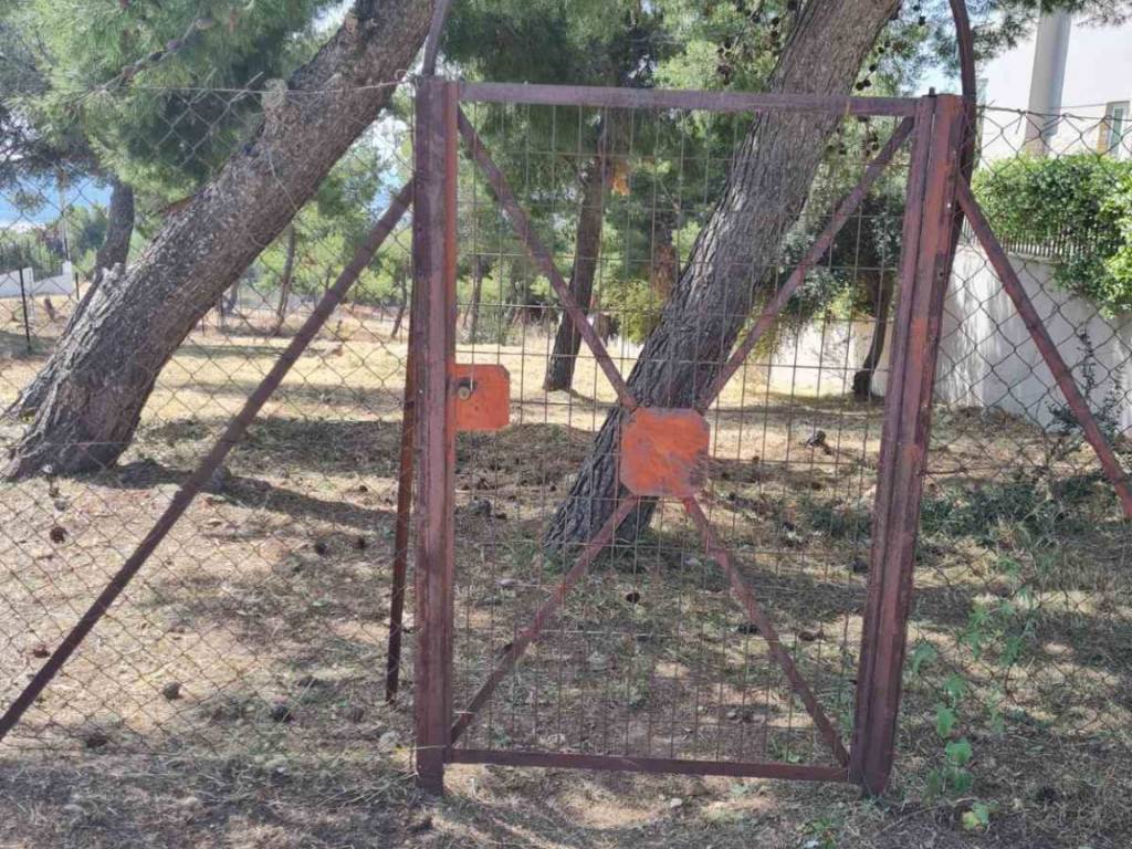 Εξωτερικοι χώροι