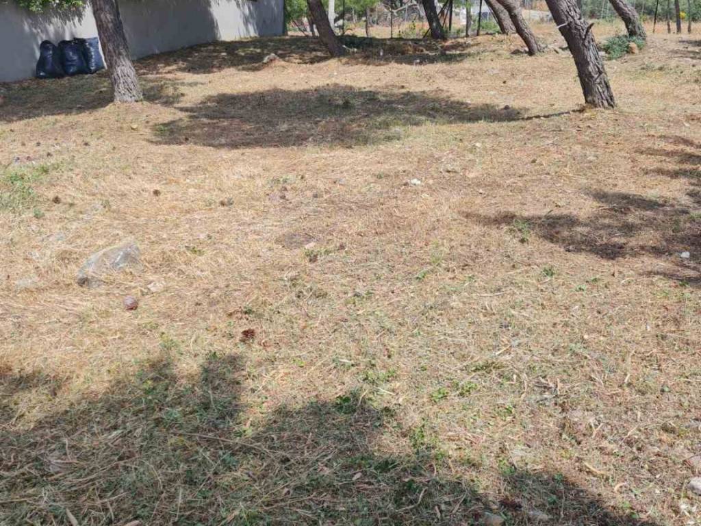 Εξωτερικοι χώροι