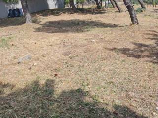 Εξωτερικοι χώροι