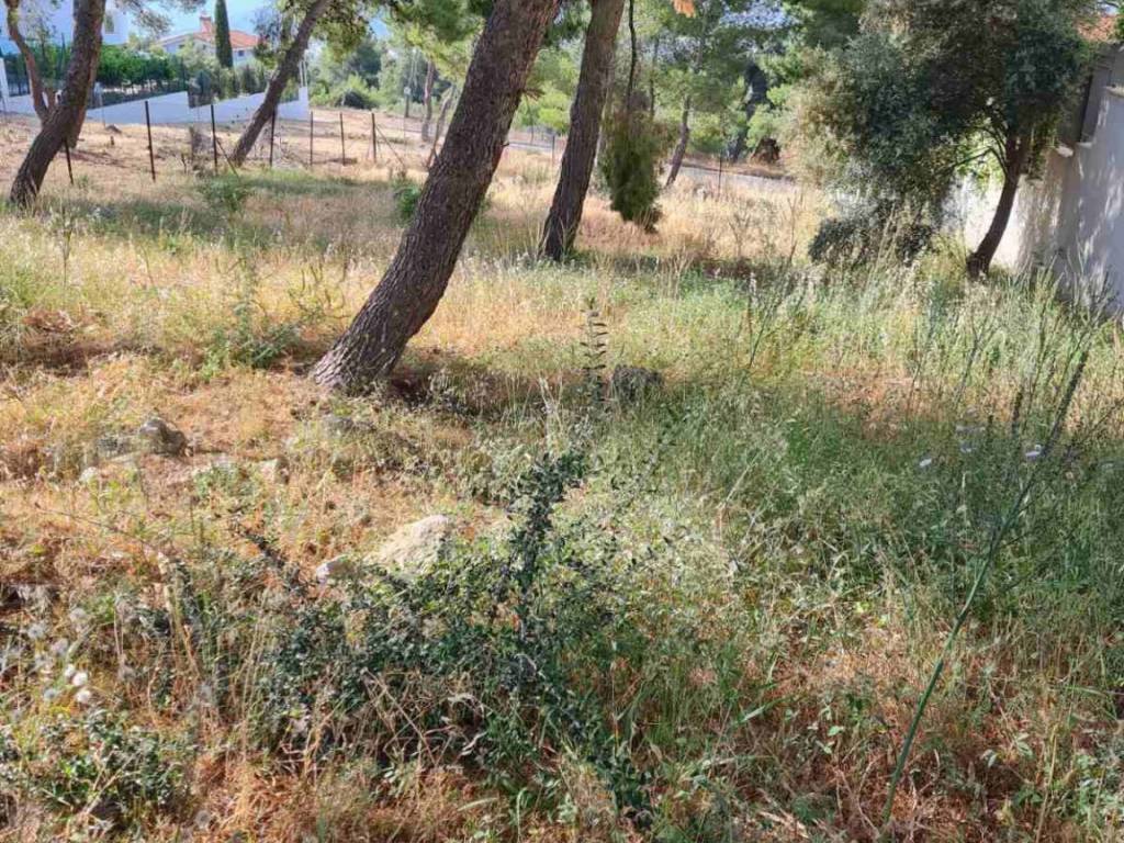 Εξωτερικοι χώροι