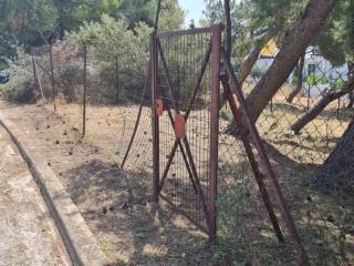 Εξωτερικοι χώροι