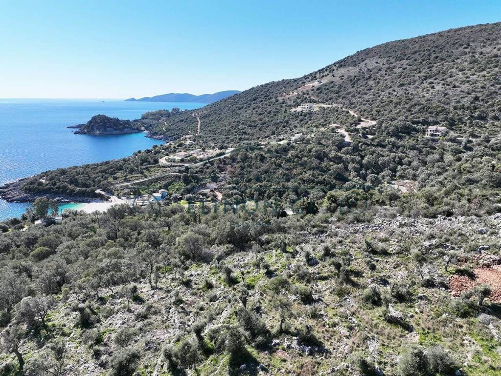 E phantastike thea apo to agrotemachio