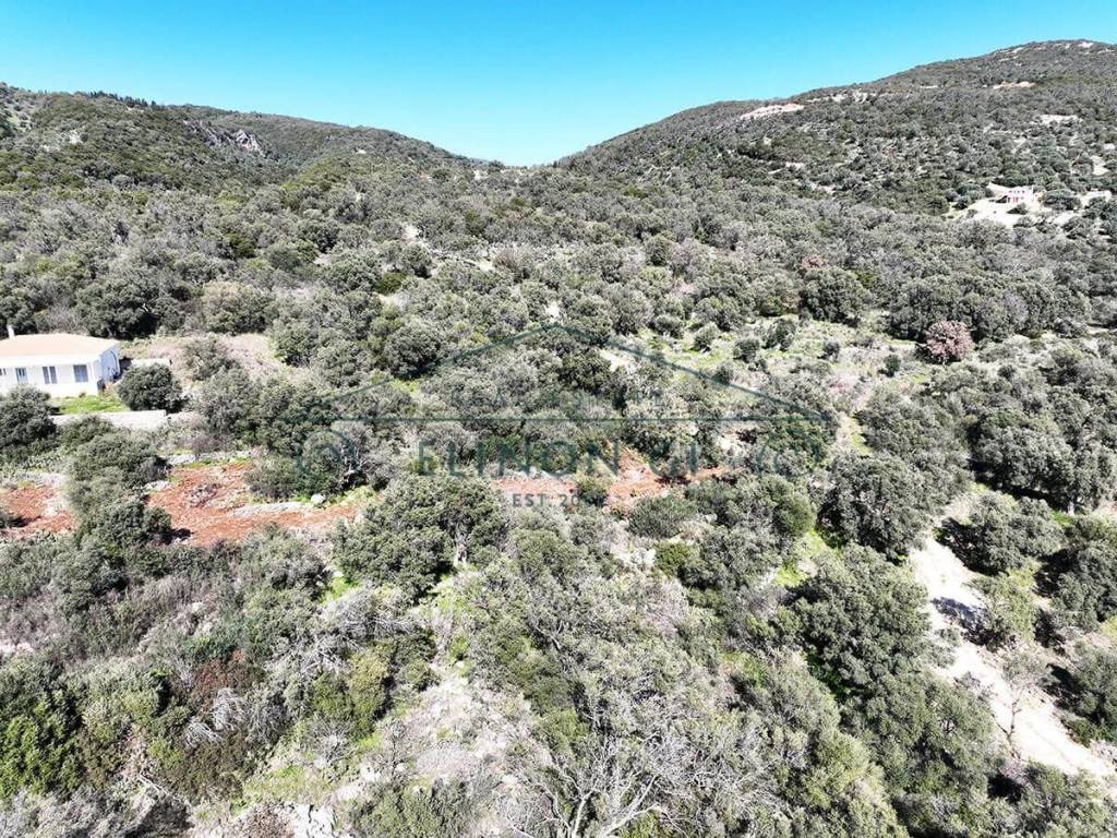 To agrotemachio apo psela