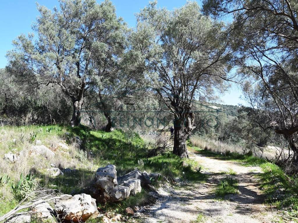 E prosbase sto agrotemachio