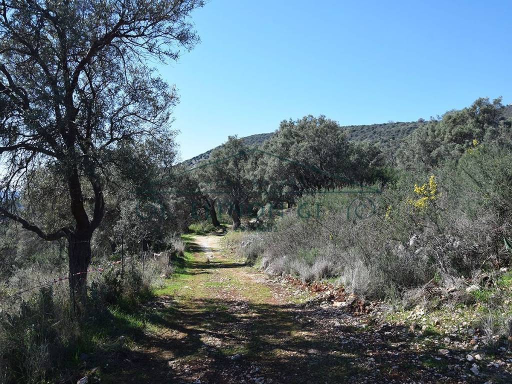 E prosbase sto agrotemachio