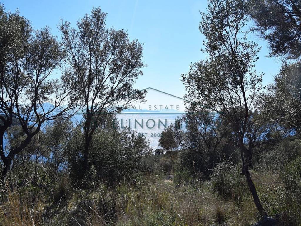 E phantastike thea apo to agrotemachio