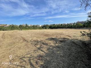 Forumland Real Estate, Αγροτεμάχιο 4.087τμ