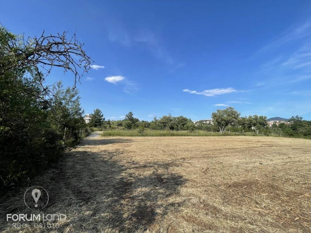 Forumland Real Estate, Αγροτεμάχιο 4.087τμ