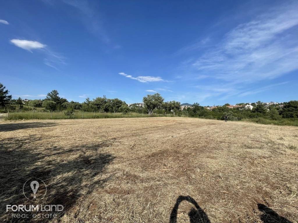 Forumland Real Estate, Αγροτεμάχιο 4.087τμ