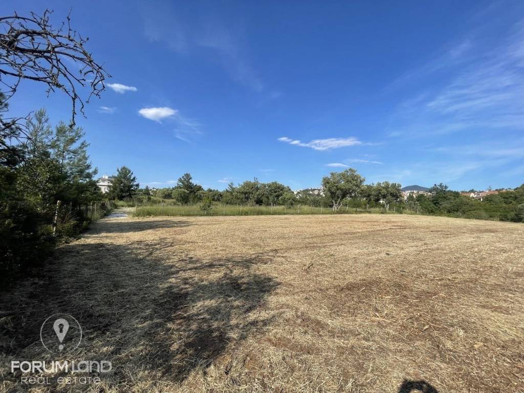 Forumland Real Estate, Αγροτεμάχιο 4.087τμ
