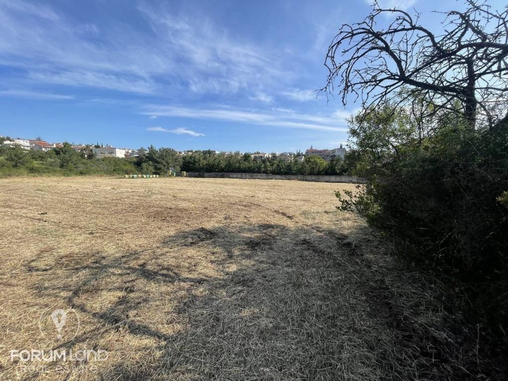 Forumland Real Estate, Αγροτεμάχιο 4.087τμ