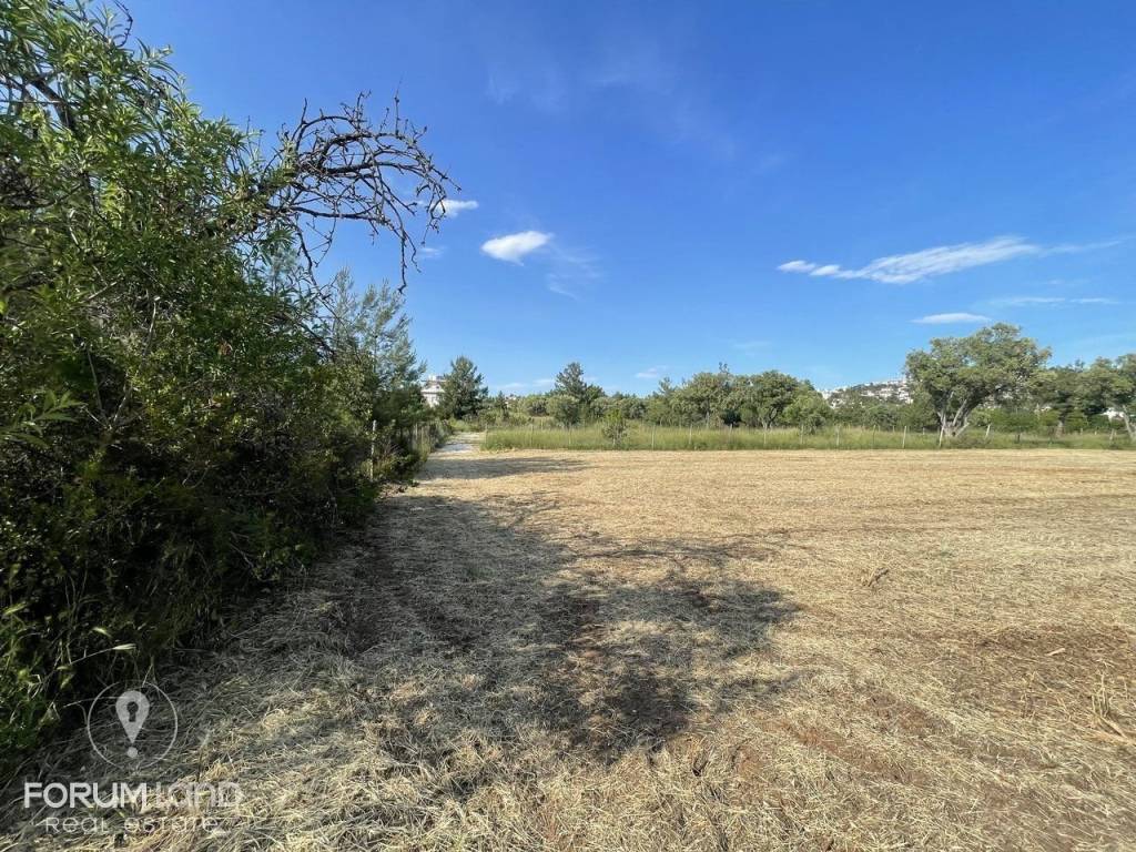 Forumland Real Estate, Αγροτεμάχιο 4.087τμ