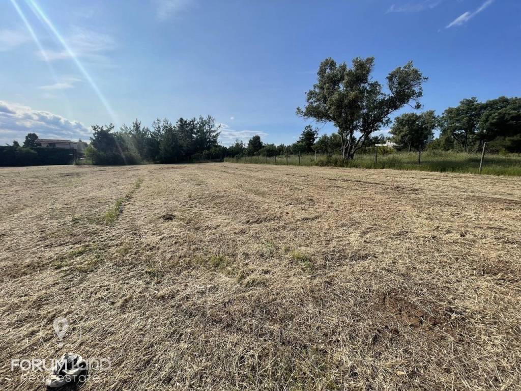 Forumland Real Estate, Αγροτεμάχιο 4.087τμ