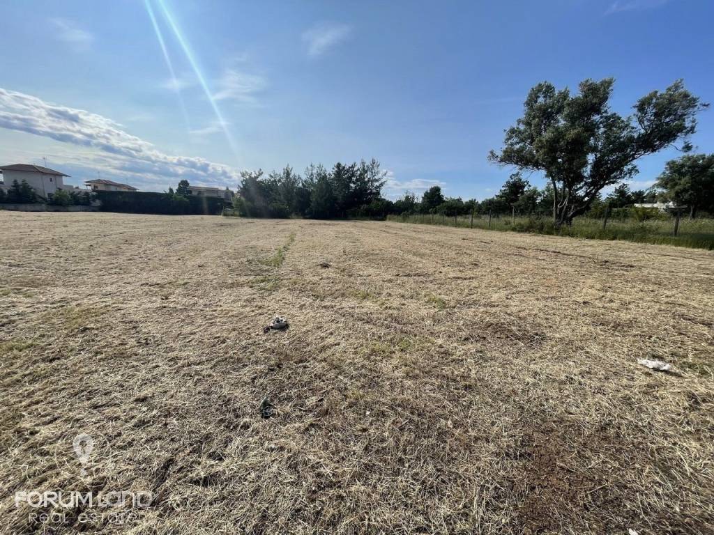Forumland Real Estate, Αγροτεμάχιο 4.087τμ