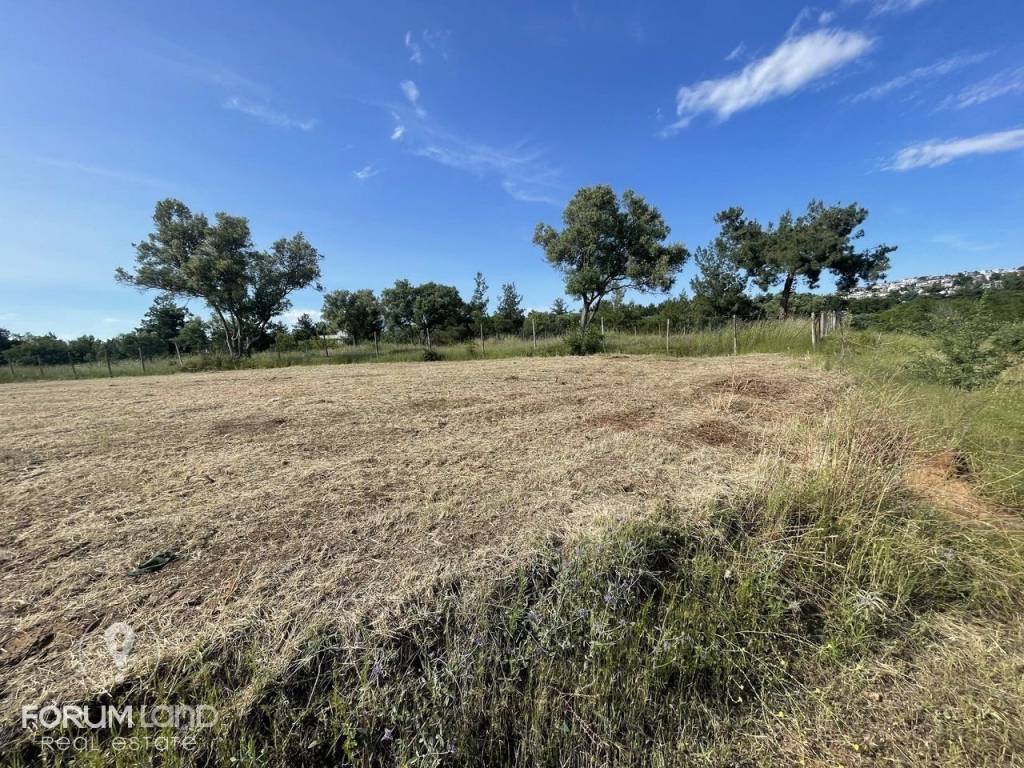 Forumland Real Estate, Αγροτεμάχιο 4.087τμ