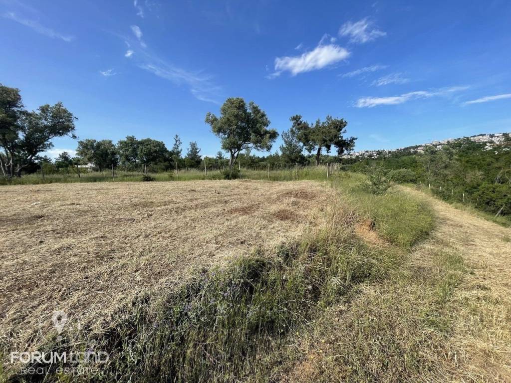 Forumland Real Estate, Αγροτεμάχιο 4.087τμ