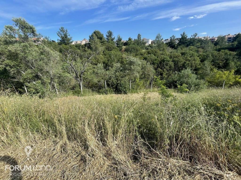 Forumland Real Estate, Αγροτεμάχιο 4.087τμ