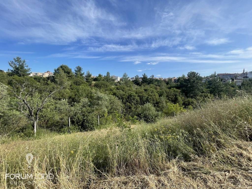 Forumland Real Estate, Αγροτεμάχιο 4.087τμ