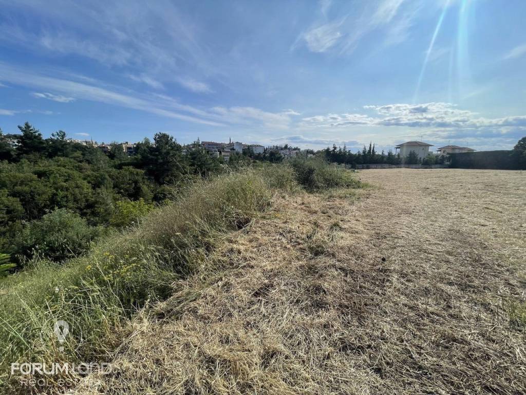 Forumland Real Estate, Αγροτεμάχιο 4.087τμ
