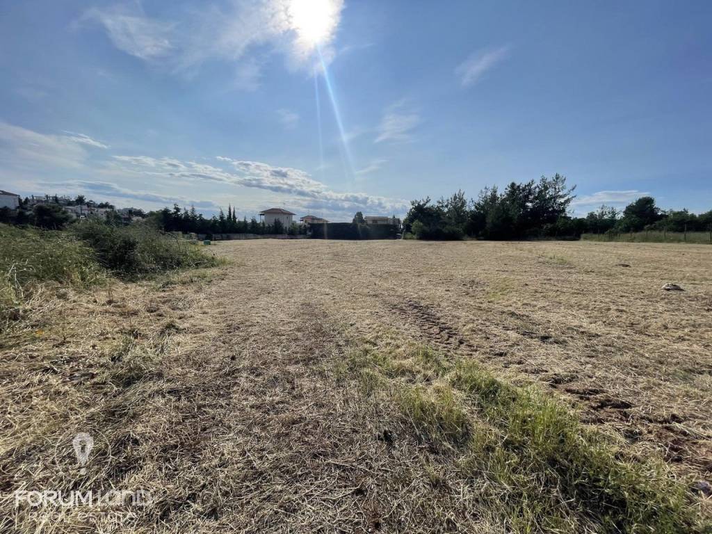 Forumland Real Estate, Αγροτεμάχιο 4.087τμ