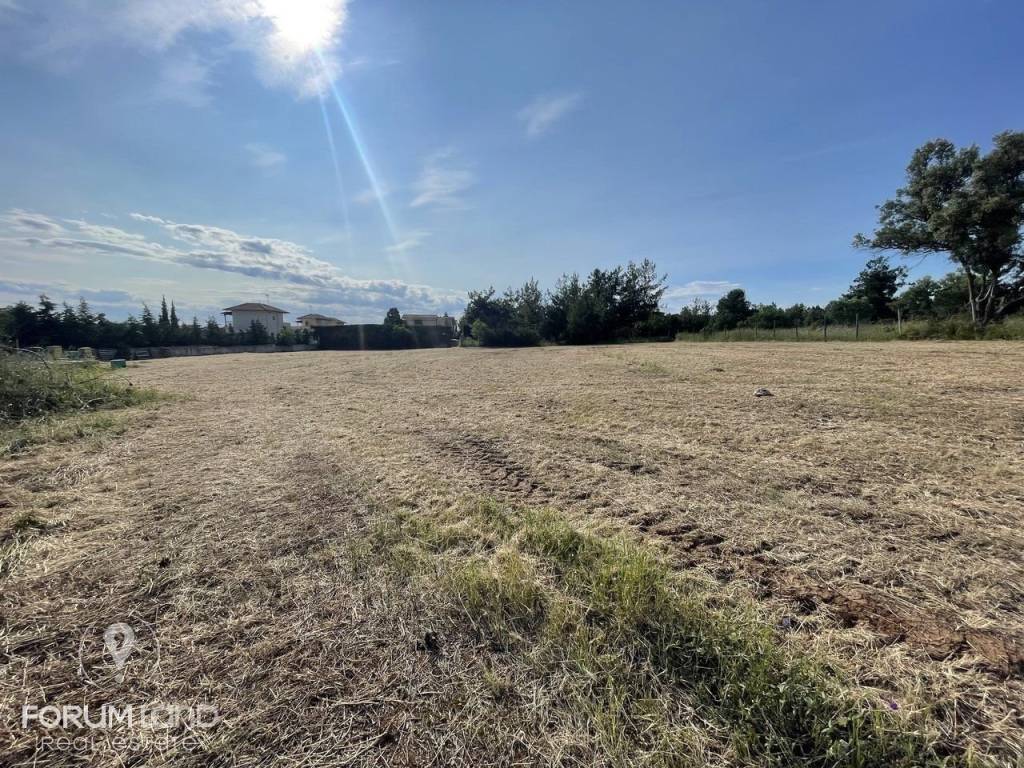 Forumland Real Estate, Αγροτεμάχιο 4.087τμ