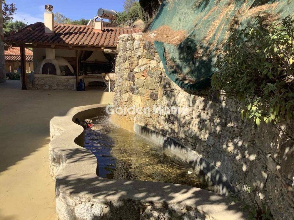 Εξωτερικός Χώρος