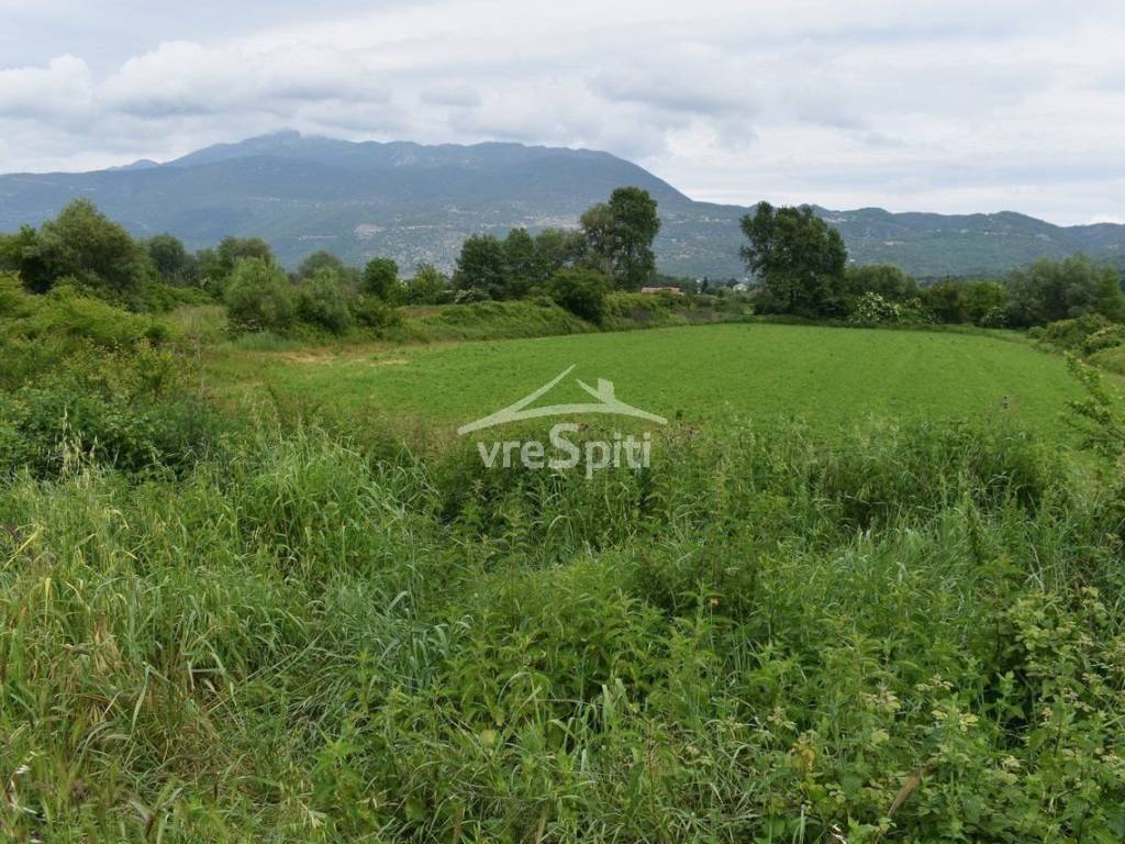 ΑΠΟΨΗ ΑΓΡΟΤΕΜΑΧΙΟΥ