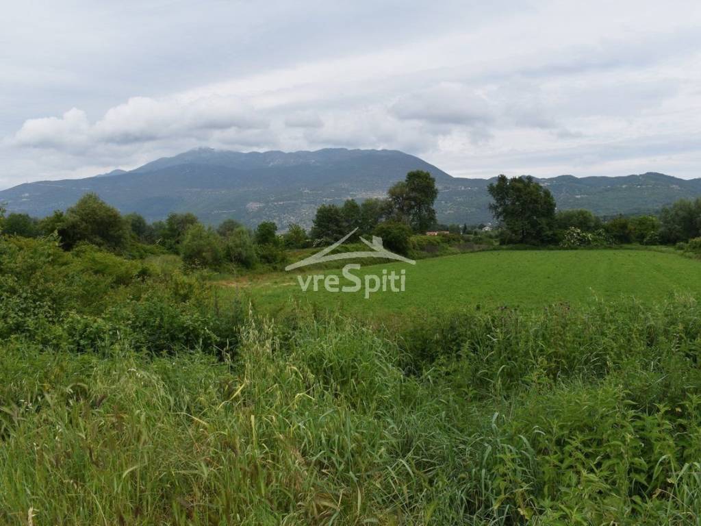 ΑΠΟΨΗ ΑΓΡΟΤΕΜΑΧΙΟΥ