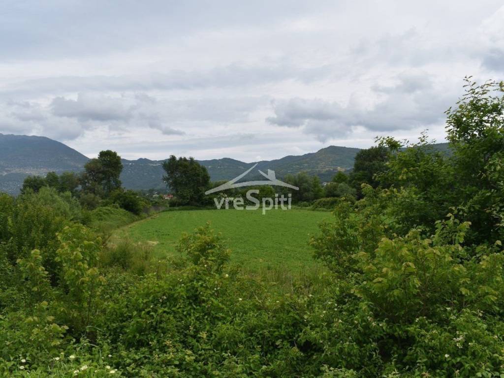 ΑΠΟΨΗ ΑΓΡΟΤΕΜΑΧΙΟΥ