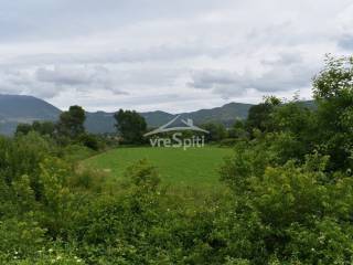 ΑΠΟΨΗ ΑΓΡΟΤΕΜΑΧΙΟΥ