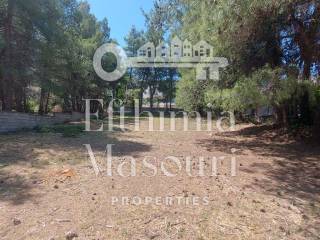 Εξωτερικοι χώροι