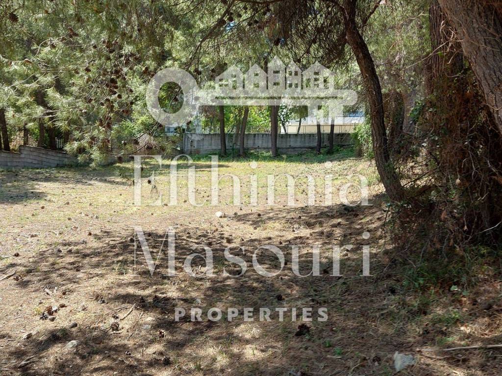 Εξωτερικοι χώροι