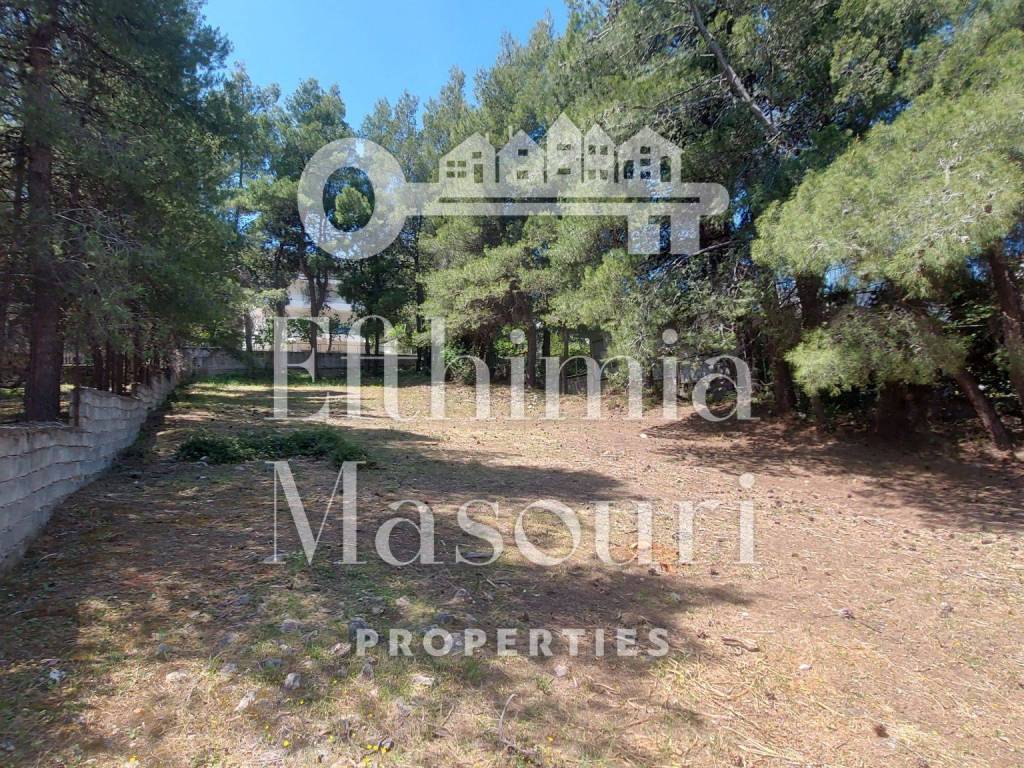 Εξωτερικοι χώροι