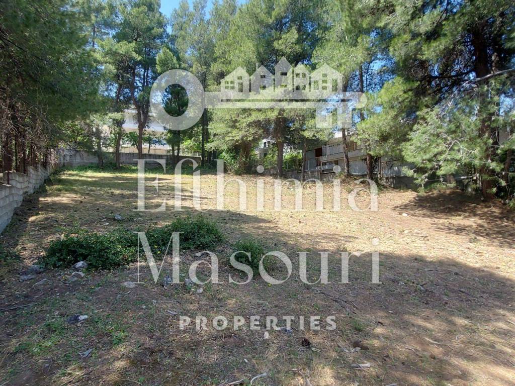 Εξωτερικοι χώροι