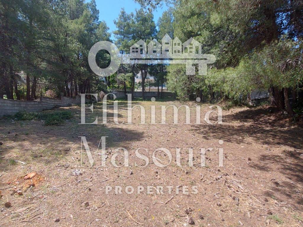 Εξωτερικοι χώροι