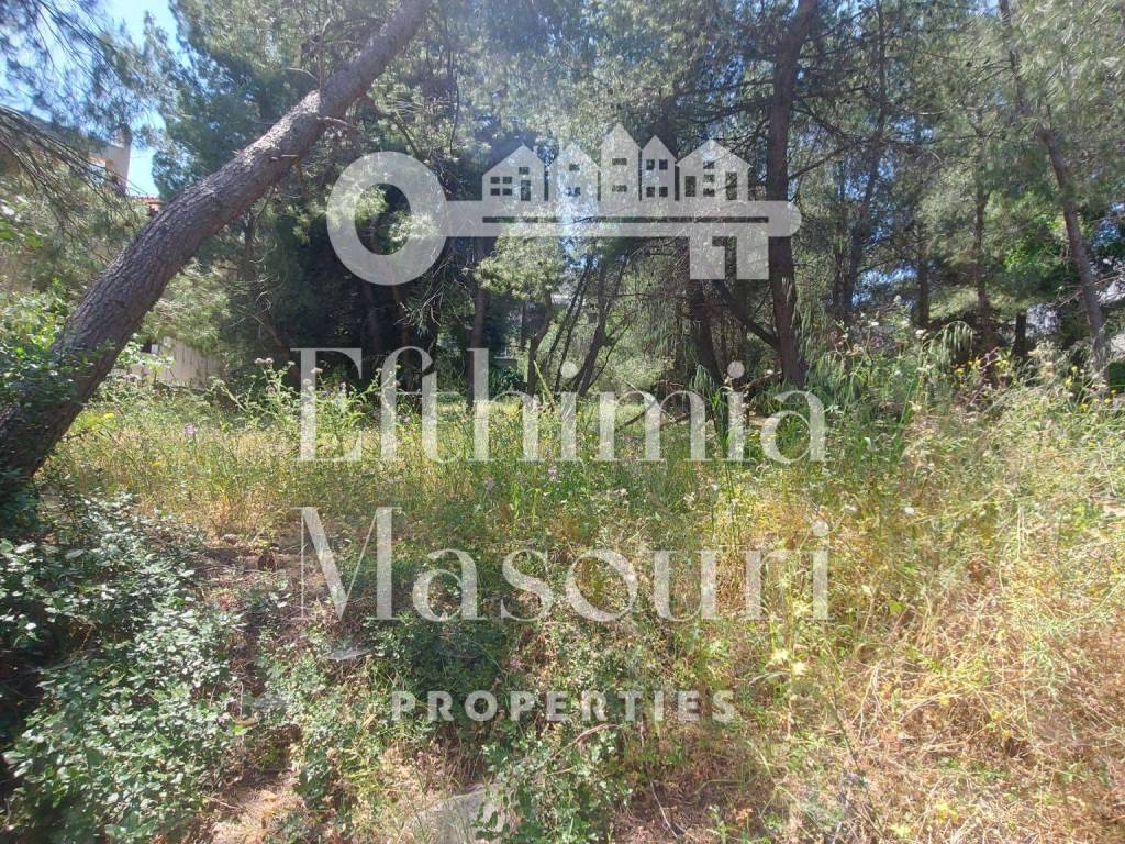 Εξωτερικοι χώροι