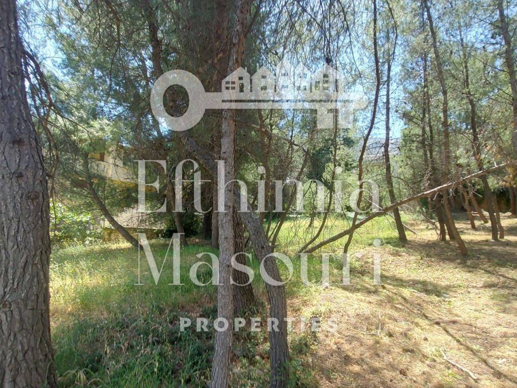 Εξωτερικοι χώροι