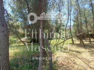 Εξωτερικοι χώροι