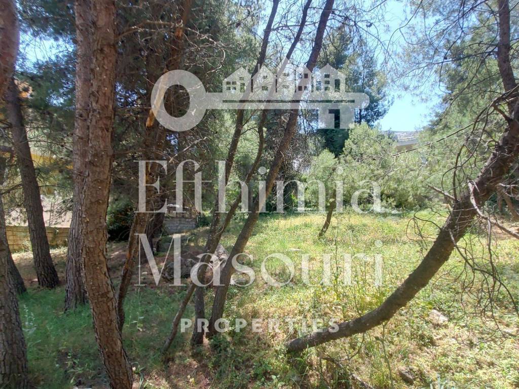 Εξωτερικοι χώροι