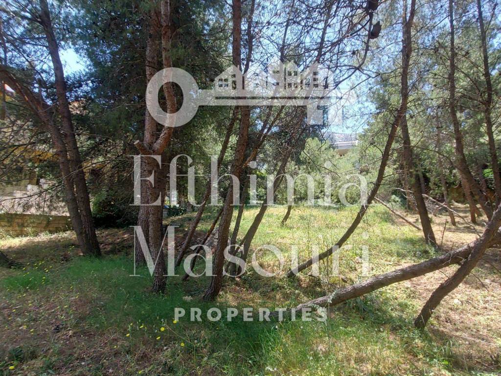 Εξωτερικοι χώροι