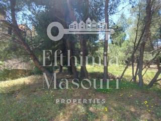 Εξωτερικοι χώροι