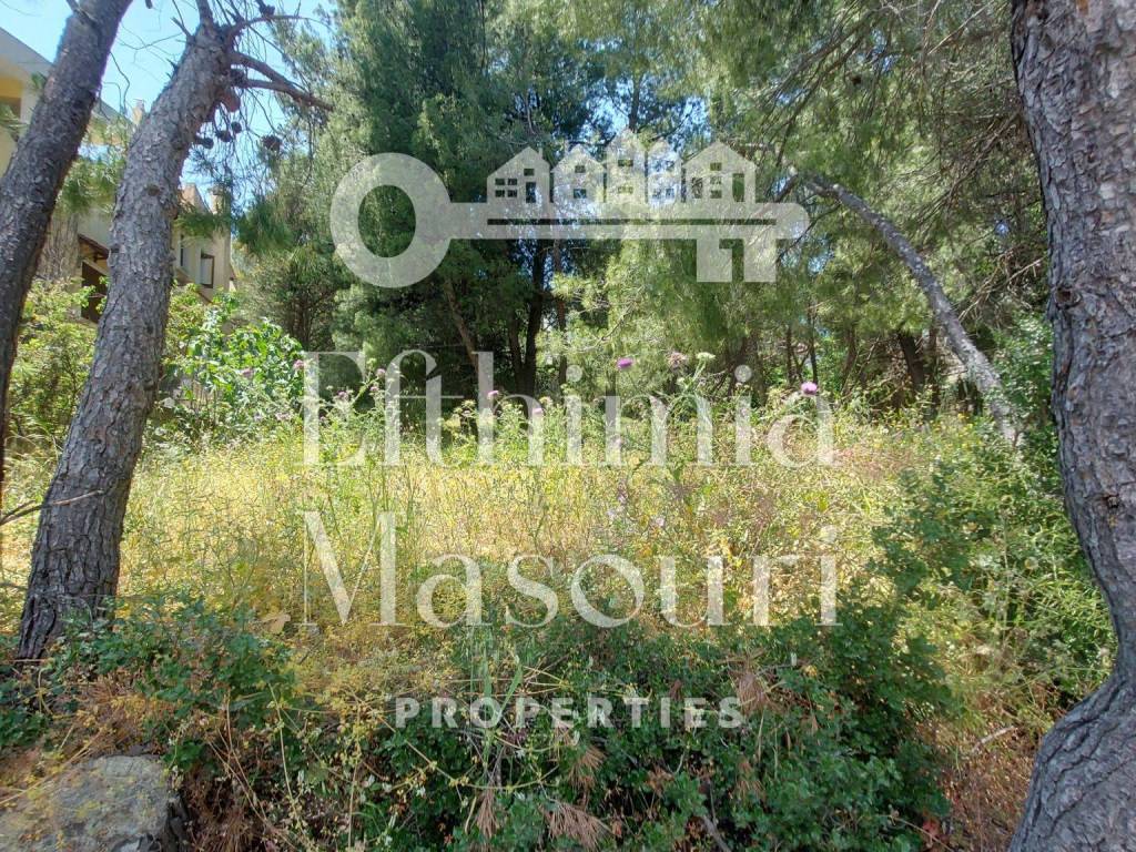 Εξωτερικοι χώροι