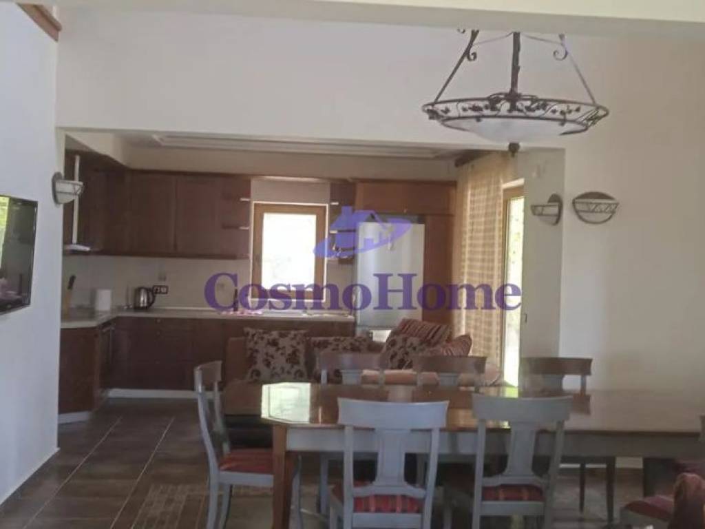 TRAPEZARIA | KOYZINA