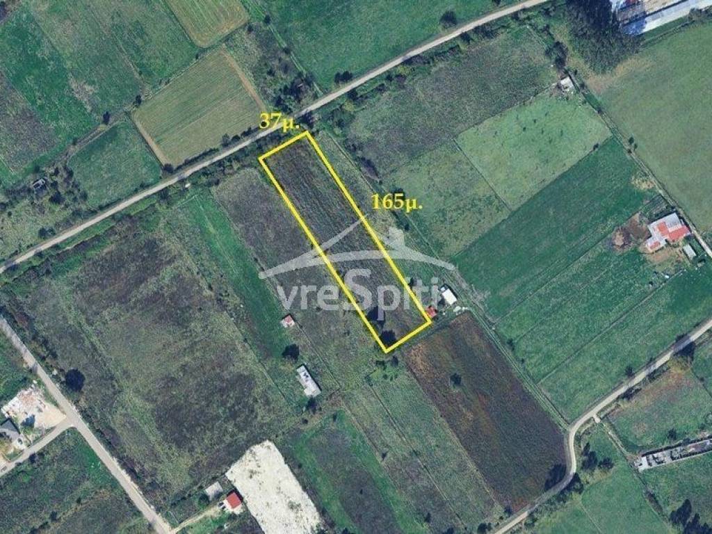 ΣΧΗΜΑ ΑΓΡΟΤΕΜΑΧΙΟΥ