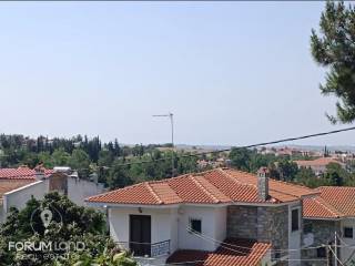 Forumland Real Estate, THea anoichtosia