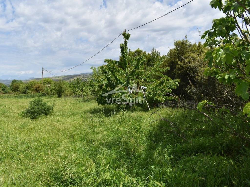 ΑΠΟΨΗ ΟΙΚΟΠΕΔΟΥ