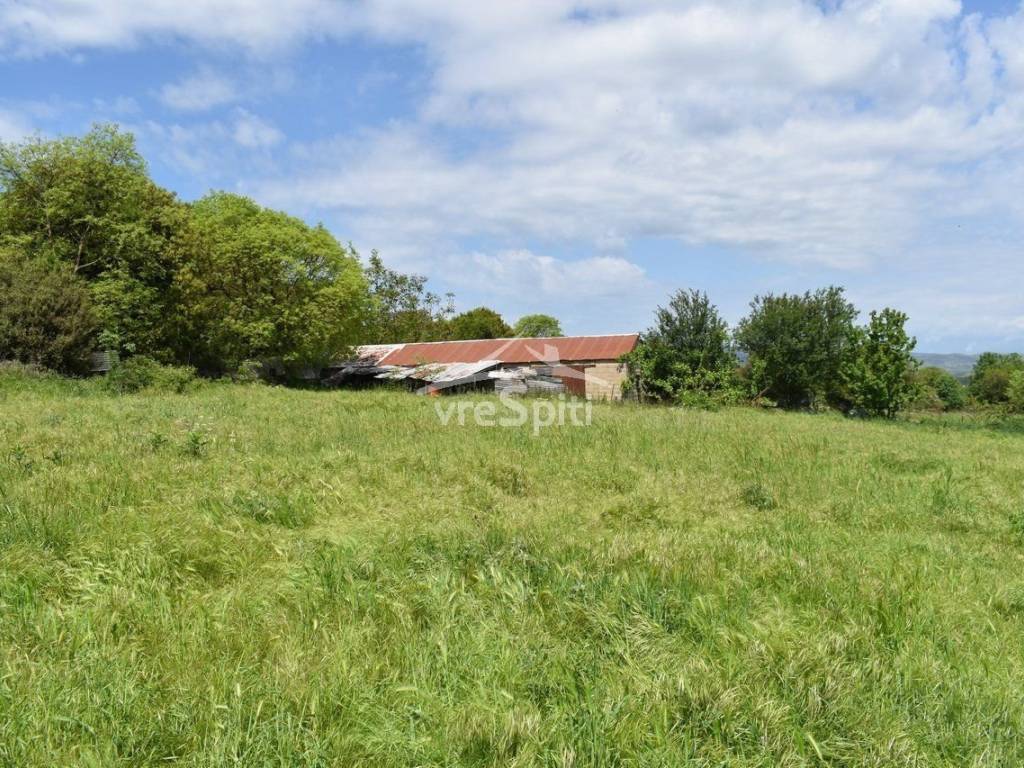 ΑΠΟΨΗ ΟΙΚΟΠΕΔΟΥ